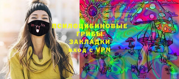прущие крисы Горняк