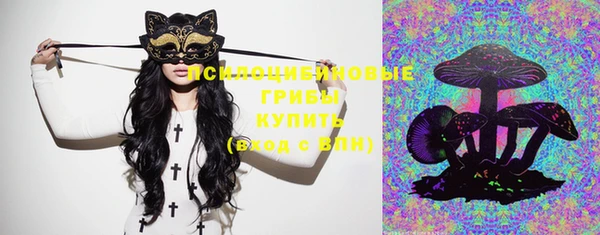 прущие крисы Горняк