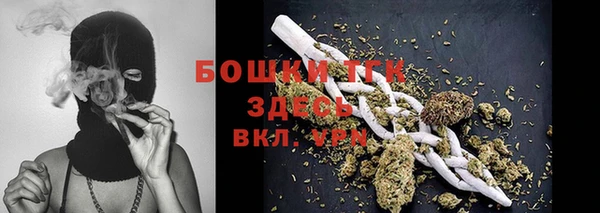 прущие крисы Горняк