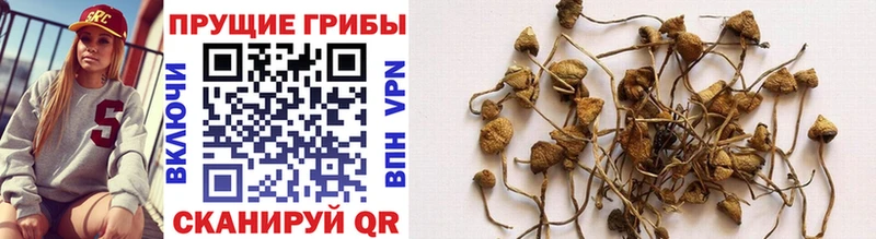 Псилоцибиновые грибы MAGIC MUSHROOMS Купить закладки Полысаево